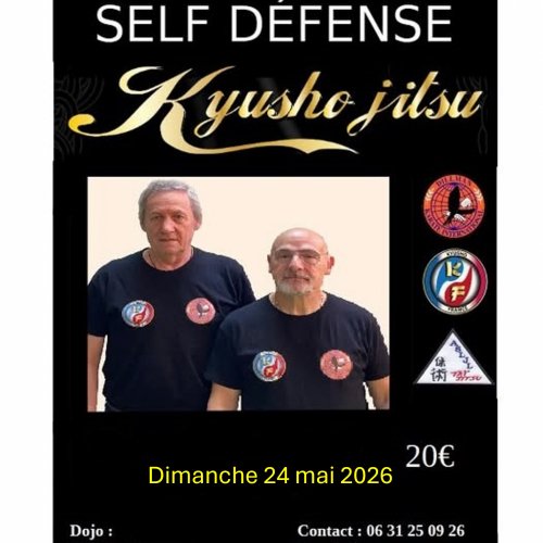 Stage découverte Kyusho DKI